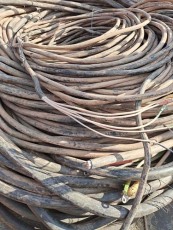 南山专业废旧电缆电线回收厂家直收信誉保证