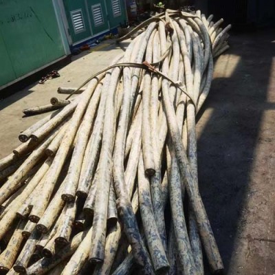 中山沙溪镇废旧工厂设备回收拆除公司