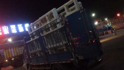 佛山到青海物流运输服务热线