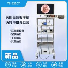 亚高医用双主机高清可视采耳仪器YG-E2107