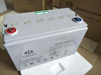 海东双登蓄电池12V100AH优质品质