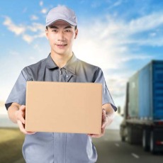 广东到荷兰国际海运双清包税自主打单