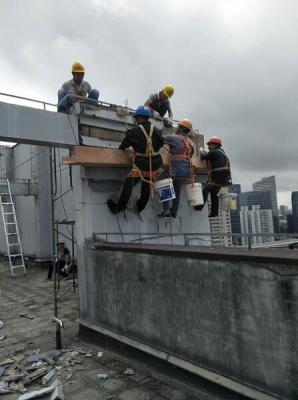 上海闵行颛桥镇蜘蛛人高空排险拆除方案