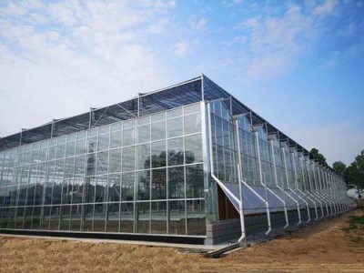 西安农业温室大棚可实地测量搭建