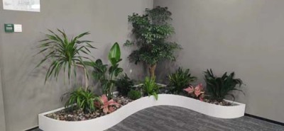 黎里植物养护市场地址