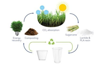 福建玉米淀粉制成的可生物降解塑料哪家有实力