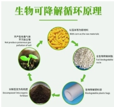 山西玉米淀粉制成的可生物降解塑料哪家价格实惠