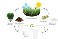 西藏仙人掌制成的生物塑料厂商定制