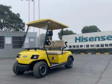 嘉兴景区电动观光车报价