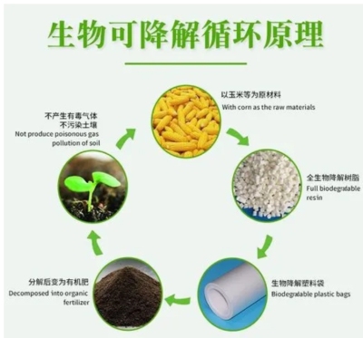 山西玉米淀粉制成的可生物降解塑料哪家性价比高