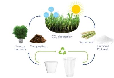 江西仙人掌制成的生物塑料制造厂家