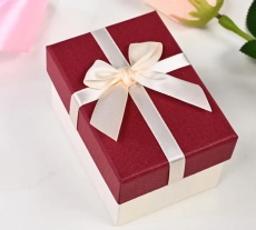 天津手提式盒型礼品包装设计方案