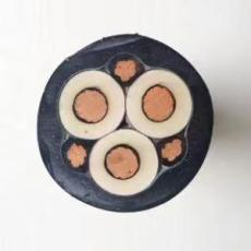 YCWJ-0.6/1KV 3*50