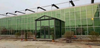 池州玻璃温室大棚安装工程
