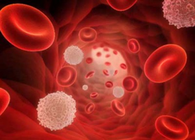 胶质瘤干细胞图片