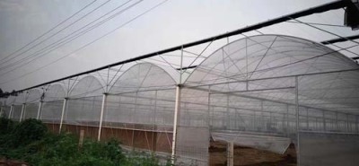 和田连栋蔬菜温室安装工程