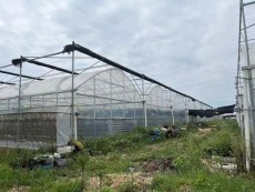 宿县蔬菜温室镀锌钢管专业建造，多年经验