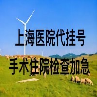 上海中山医院黄浙勇代挂号跑腿-分分钟拿下