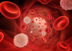 子宫癌干细胞免疫疗法=干细胞可以治疗宫颈癌吗