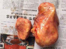 漳州私人鉴定收购猪宝价格