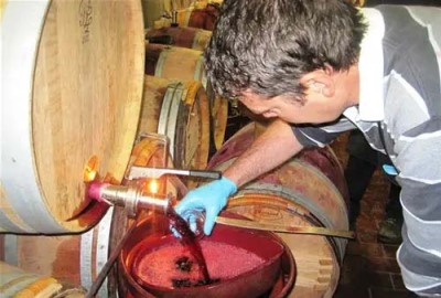 揭阳澳洲红酒阿莫尼系列葡萄酒代理