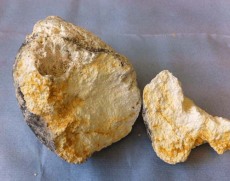 思茅鑒定拍賣龍涏香收購聯(lián)系方式