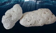 朔州收購拍賣龍涏香收購拍賣
