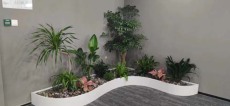 沙家浜绿植花卉租赁平台
