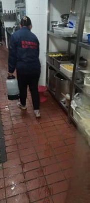 咸阳学院除蚂蚁单位