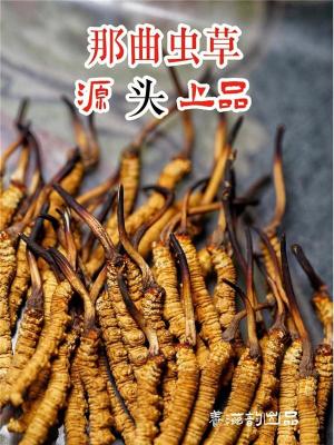 建宁回收冬虫夏草行情以及价格表/省时省力免于奔波