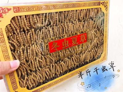 石狮回收冬虫夏草现在什么价格/快速估价 上门服务