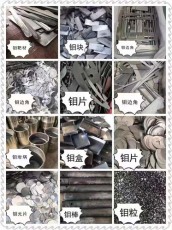 徐州专业废钼回收什么价