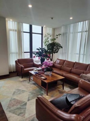 娄药办公室绿植养护租赁