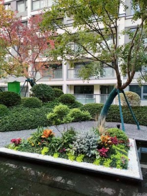 郭巷花镜施工养护报价