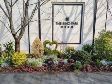 越溪专业绿植租摆有哪些公司