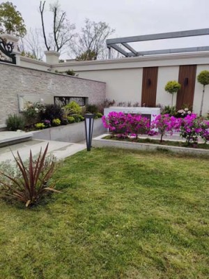 同里绿化出租租赁公司哪家好