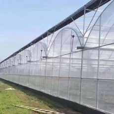神农架蔬菜大棚钢管生产安装