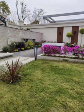 常熟租花绿植市场地址