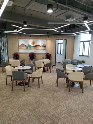 平望室内植物租赁