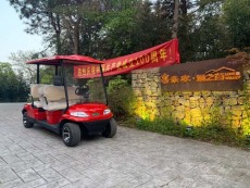 贵港公园电动观光车多少钱一辆