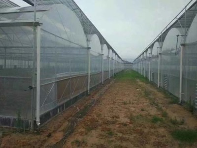 荆州蔬菜温室镀锌钢管安装工程