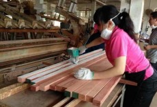 陕西实木实木拼板胶招商合作