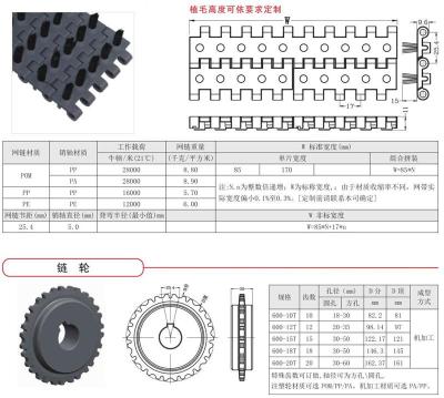 600塑料网带 节距8.4mm