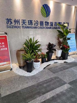淀山湖办公室绿植养护租赁平台