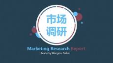中国软件和信息技术服务市场调研与投资战略