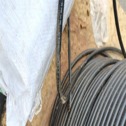 24芯立孚管道式光缆仁怀现金回收千兆网线
