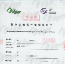 DGM迪捷姆貨物鑒定書/DGM迪捷姆航空鑒定書