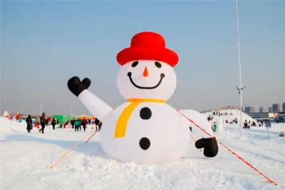 包头冰雪世界定制直销冰厂联系地址