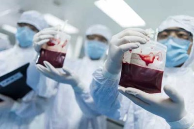 医院宣传脐带血干细胞