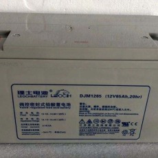广安消防照明理士蓄电池DJM12100S供应商